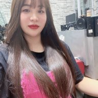 Mèo Vàng